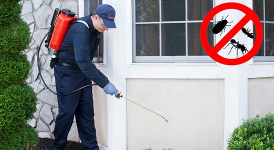 Yeşilova Dezenfeksiyon böcek ilaçlama ve haşere kontrolü — ilaclama-tr.com
